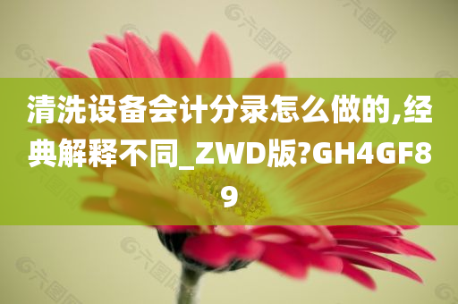 清洗设备会计分录怎么做的,经典解释不同_ZWD版?GH4GF89