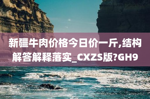 新疆牛肉价格今日价一斤,结构解答解释落实_CXZS版?GH9