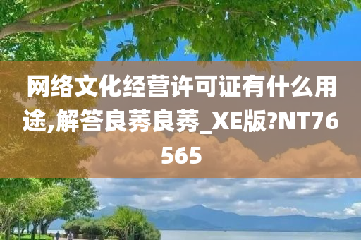 网络文化经营许可证有什么用途,解答良莠良莠_XE版?NT76565