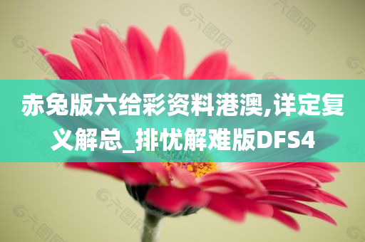 赤兔版六给彩资料港澳,详定复义解总_排忧解难版DFS4