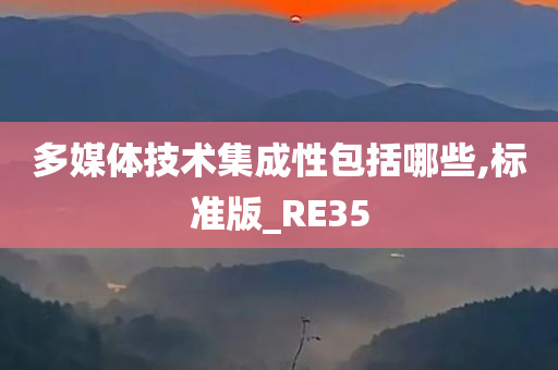 多媒体技术集成性包括哪些,标准版_RE35