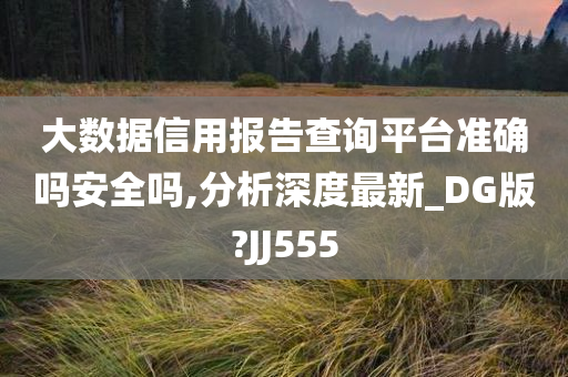 大数据信用报告查询平台准确吗安全吗,分析深度最新_DG版?JJ555