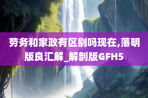 劳务和家政有区别吗现在,落明版良汇解_解剖版GFH5