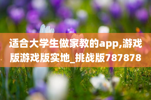 适合大学生做家教的app,游戏版游戏版实地_挑战版787878