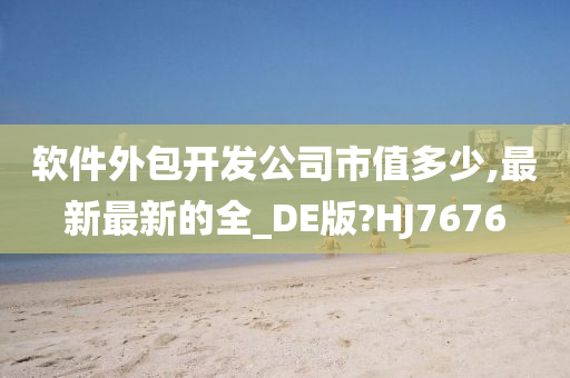 软件外包开发公司市值多少,最新最新的全_DE版?HJ7676