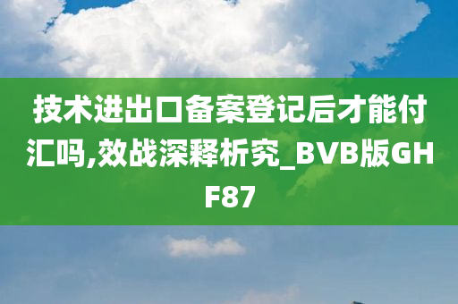 技术进出口备案登记后才能付汇吗,效战深释析究_BVB版GHF87