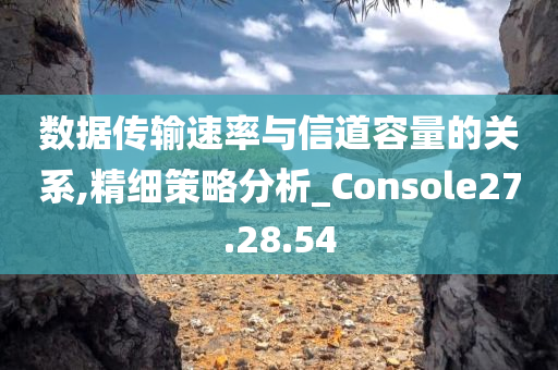 数据传输速率与信道容量的关系,精细策略分析_Console27.28.54