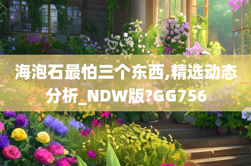 海泡石最怕三个东西,精选动态分析_NDW版?GG756