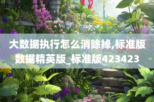 大数据执行怎么消除掉,标准版数据精英版_标准版423423