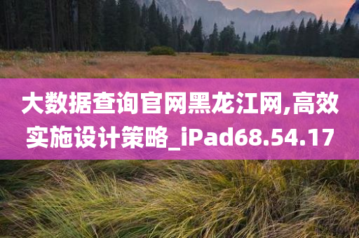 大数据查询官网黑龙江网,高效实施设计策略_iPad68.54.17