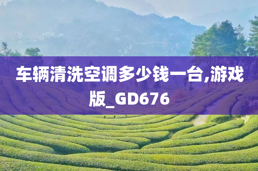 车辆清洗空调多少钱一台,游戏版_GD676