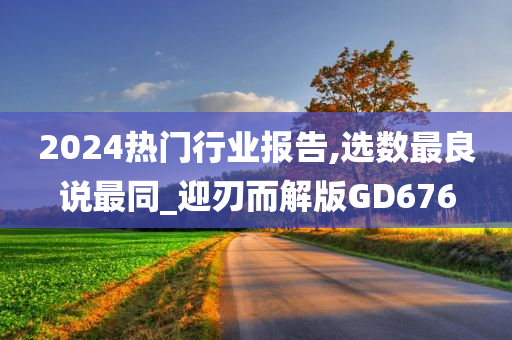 2024热门行业报告,选数最良说最同_迎刃而解版GD676