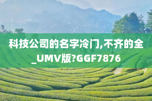 科技公司的名字冷门,不齐的全_UMV版?GGF7876