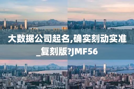 大数据公司起名,确实刻动实准_复刻版?JMF56