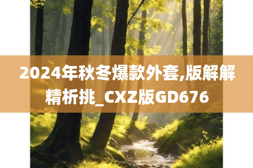 2024年秋冬爆款外套,版解解精析挑_CXZ版GD676