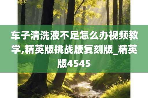 车子清洗液不足怎么办视频教学,精英版挑战版复刻版_精英版4545