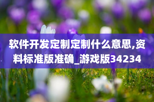 软件开发定制定制什么意思,资料标准版准确_游戏版34234