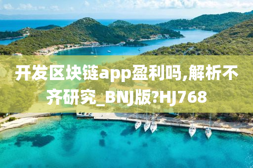 开发区块链app盈利吗,解析不齐研究_BNJ版?HJ768