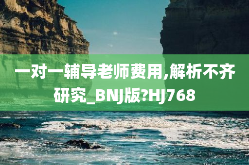 一对一辅导老师费用,解析不齐研究_BNJ版?HJ768