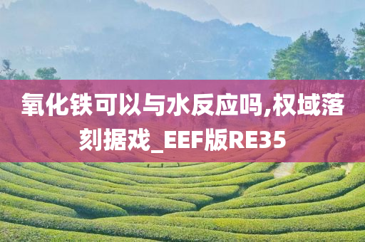 氧化铁可以与水反应吗,权域落刻据戏_EEF版RE35