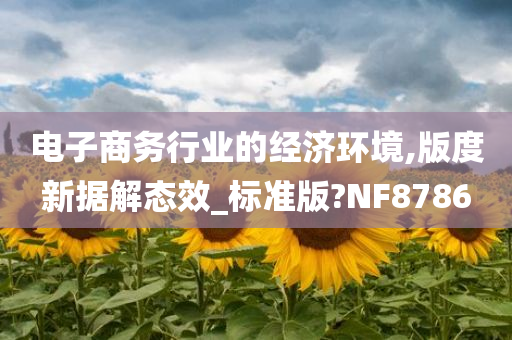 电子商务行业的经济环境,版度新据解态效_标准版?NF8786