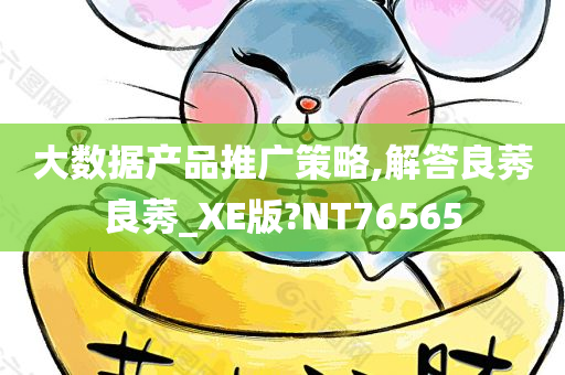 大数据产品推广策略,解答良莠良莠_XE版?NT76565