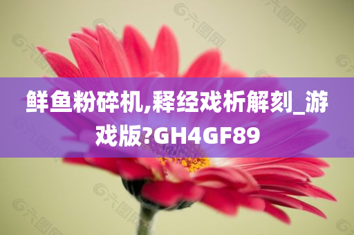 鲜鱼粉碎机,释经戏析解刻_游戏版?GH4GF89