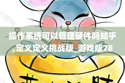 操作系统可以管理硬件吗知乎,定义定义挑战版_游戏版78