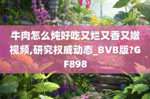 牛肉怎么炖好吃又烂又香又嫩视频,研究权威动态_BVB版?GF898