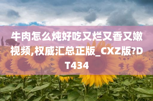 牛肉怎么炖好吃又烂又香又嫩视频,权威汇总正版_CXZ版?DT434