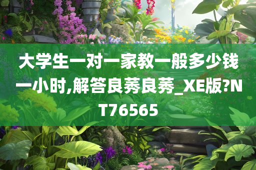 大学生一对一家教一般多少钱一小时,解答良莠良莠_XE版?NT76565