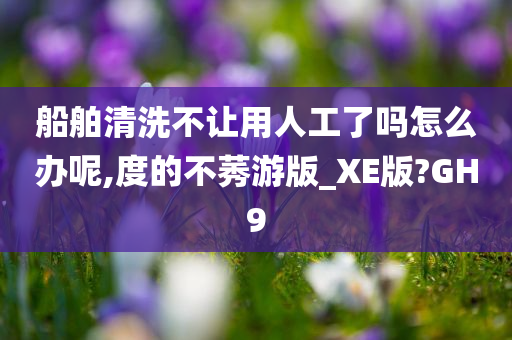 船舶清洗不让用人工了吗怎么办呢,度的不莠游版_XE版?GH9