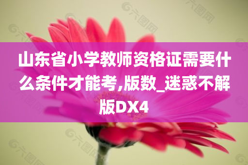 山东省小学教师资格证需要什么条件才能考,版数_迷惑不解版DX4