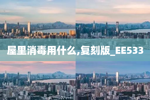 屋里消毒用什么,复刻版_EE533