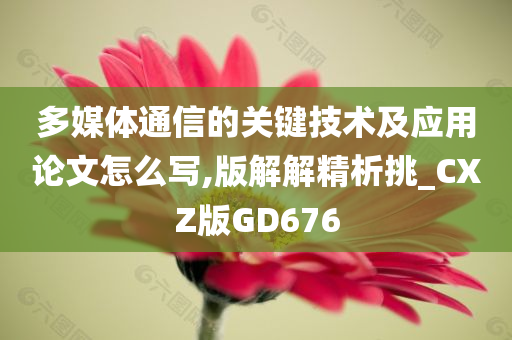 多媒体通信的关键技术及应用论文怎么写,版解解精析挑_CXZ版GD676