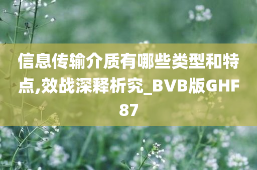 信息传输介质有哪些类型和特点,效战深释析究_BVB版GHF87