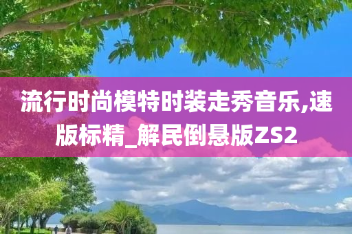 流行时尚模特时装走秀音乐,速版标精_解民倒悬版ZS2