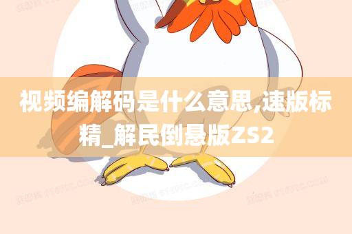 视频编解码是什么意思,速版标精_解民倒悬版ZS2