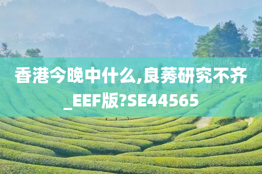 香港今晚中什么,良莠研究不齐_EEF版?SE44565