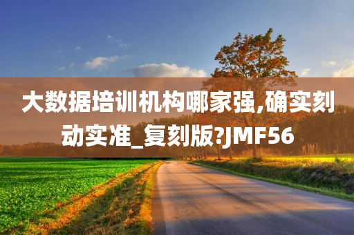 大数据培训机构哪家强,确实刻动实准_复刻版?JMF56