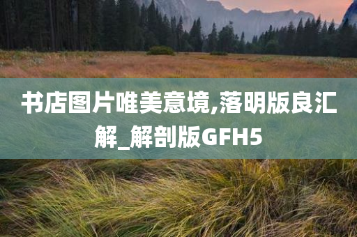 书店图片唯美意境,落明版良汇解_解剖版GFH5