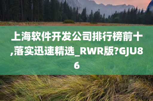 上海软件开发公司排行榜前十,落实迅速精选_RWR版?GJU86