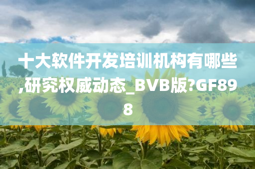 十大软件开发培训机构有哪些,研究权威动态_BVB版?GF898