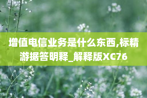 增值电信业务是什么东西,标精游据答明释_解释版XC76