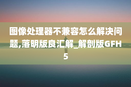 图像处理器不兼容怎么解决问题,落明版良汇解_解剖版GFH5