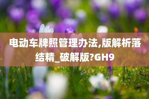 电动车牌照管理办法,版解析落结精_破解版?GH9