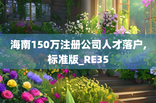 海南150万注册公司人才落户,标准版_RE35