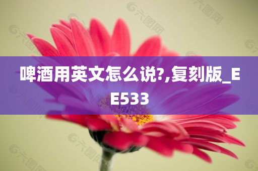 啤酒用英文怎么说?,复刻版_EE533