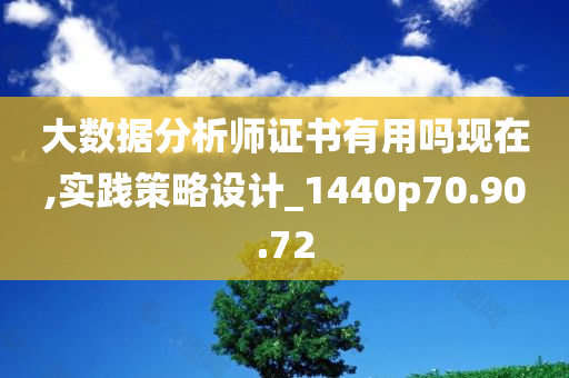 大数据分析师证书有用吗现在,实践策略设计_1440p70.90.72