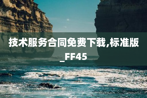 技术服务合同免费下载,标准版_FF45